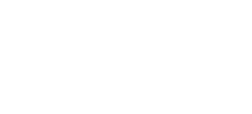 Mega Chimica Professional